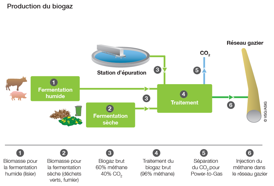 Le gaz devient renouvelable